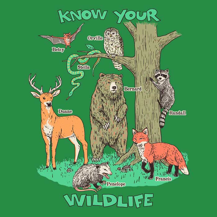Wildlife Knowledge - Decorative Throw Pillow for Home